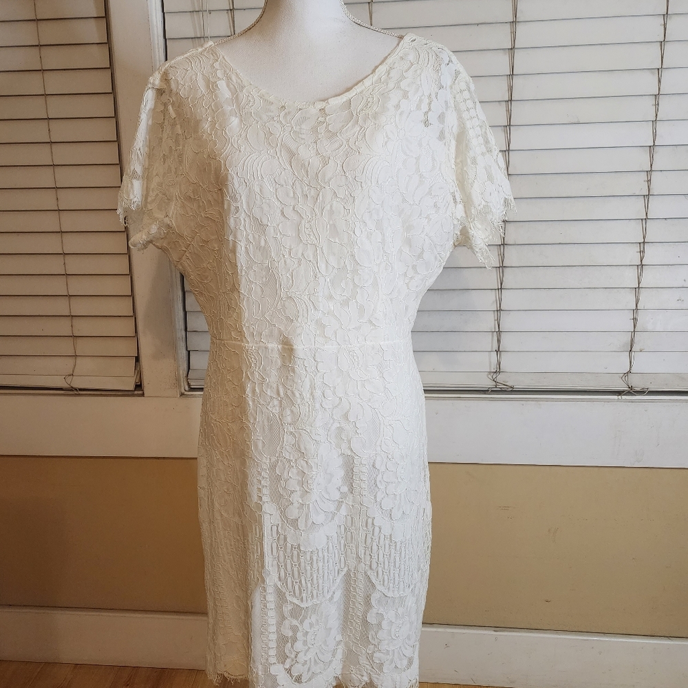 MSLG Womens Floral Lace Overlay Dress - Picture 13 of 14